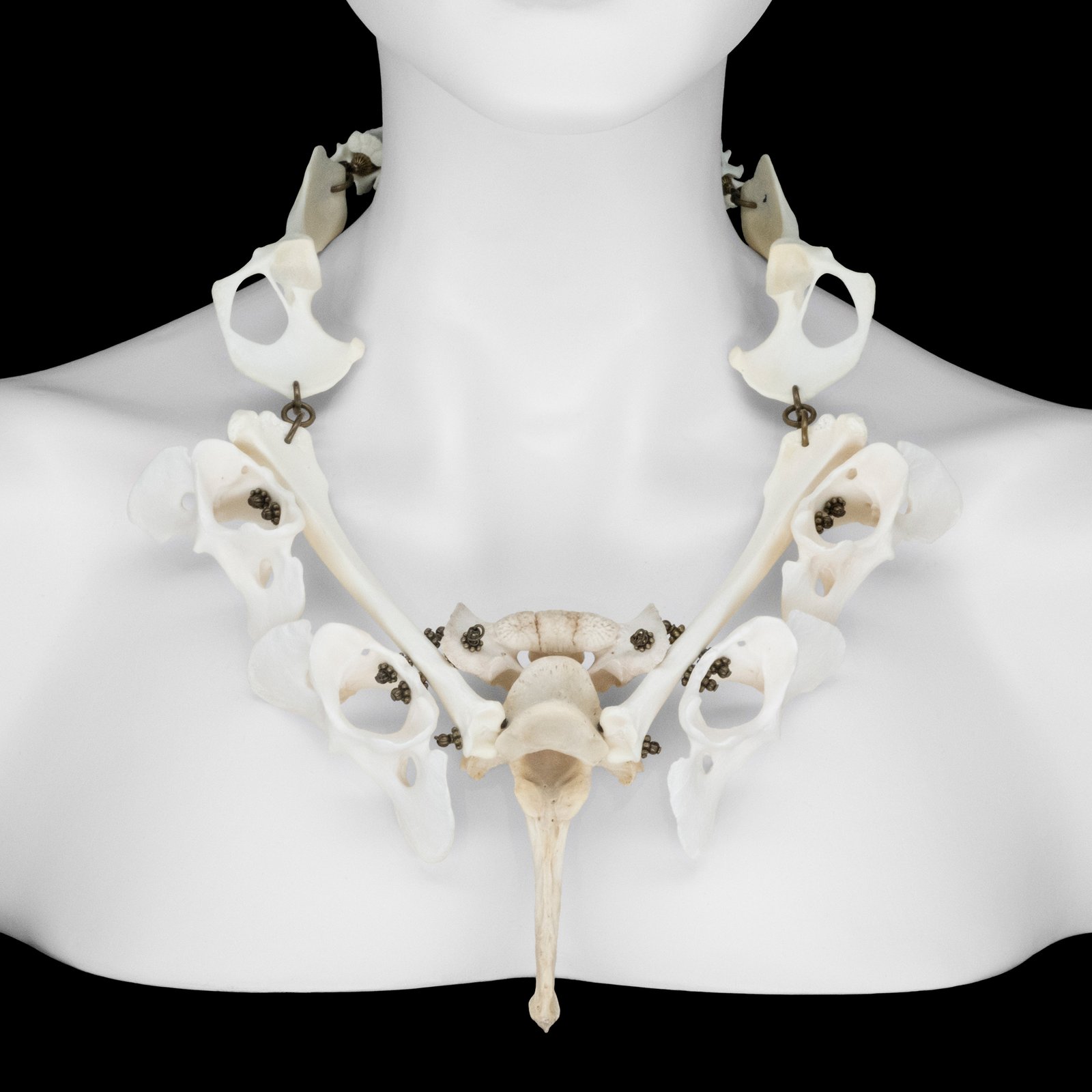 Rhinestone Dog Bone Pendant Necklace - Mid Length