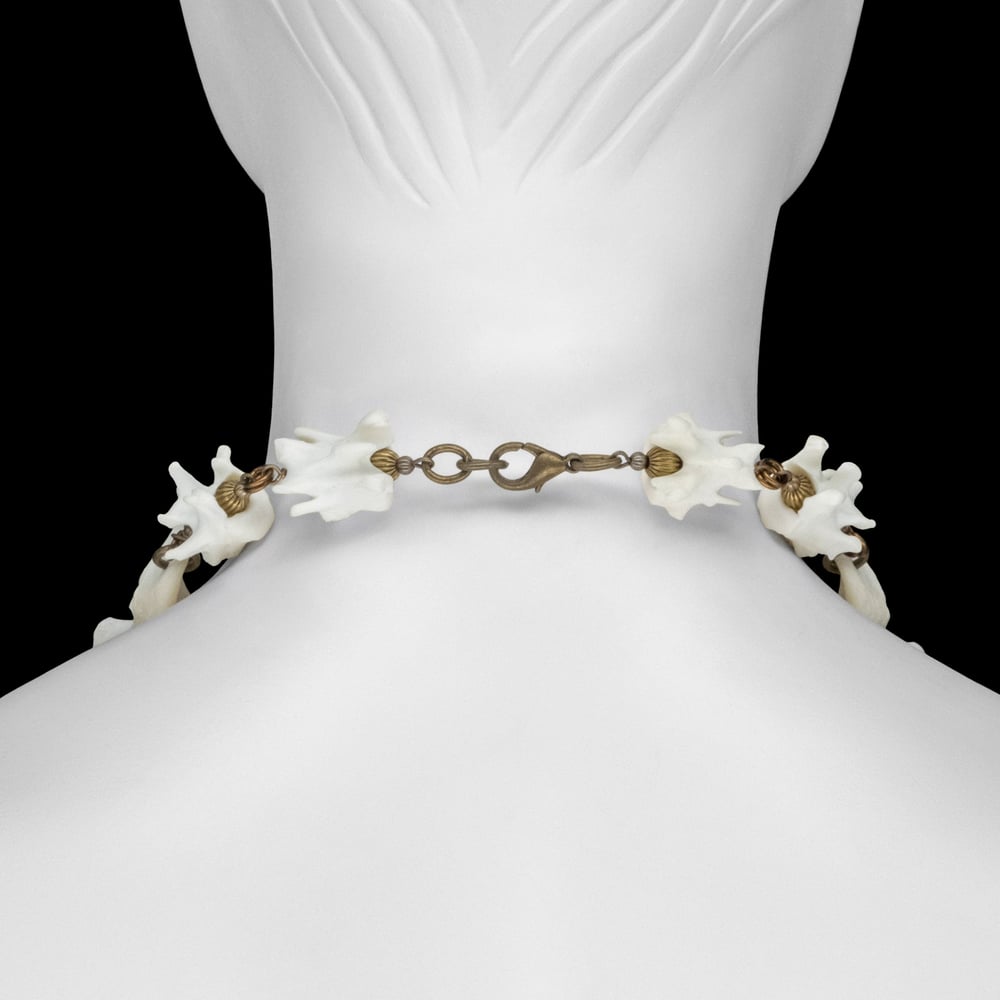 Image of "Vanni" Dog Bone Necklace