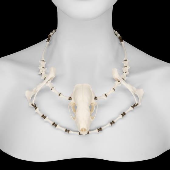 Image of "Zahara" Skull and Bone Necklace