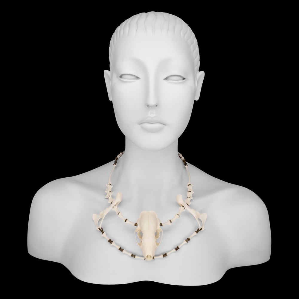 Image of "Zahara" Skull and Bone Necklace