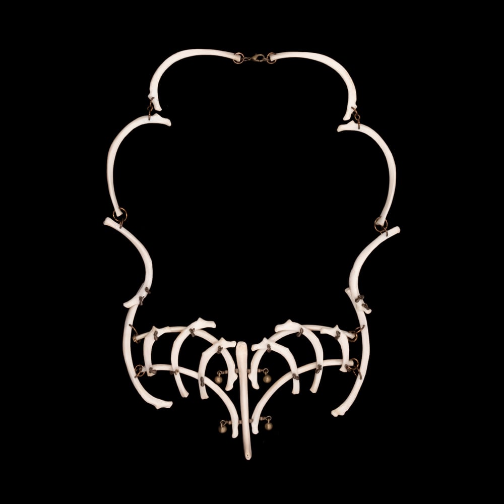 Image of "Lutro" Rib & Baculum Necklace