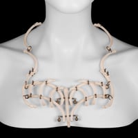 Image 1 of "Lutro" Rib & Baculum Necklace