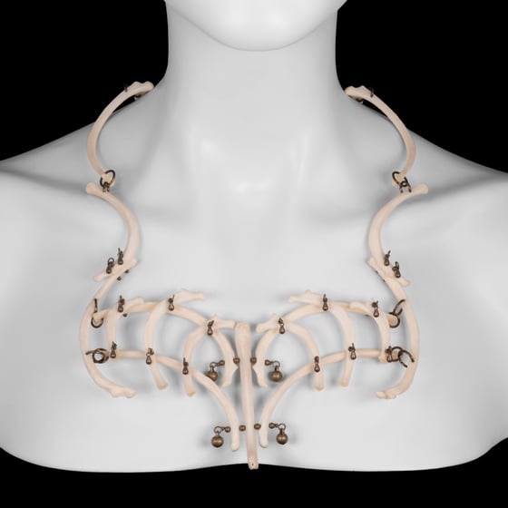 Image of "Lutro" Rib & Baculum Necklace