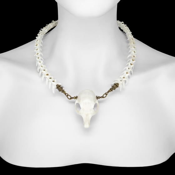 Image of "Cara" Skull Necklace