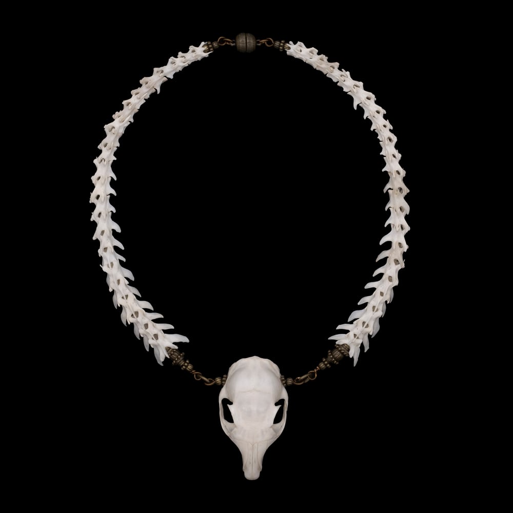 Image of "Cara" Skull Necklace