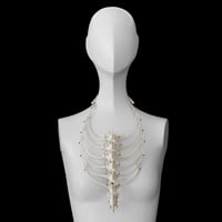 Image 2 of Ribcage Necklace