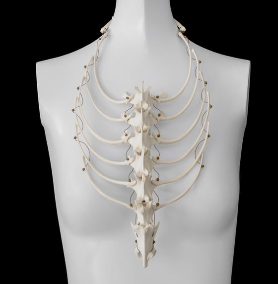 Image of Ribcage Necklace