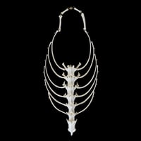 Image 4 of Ribcage Necklace