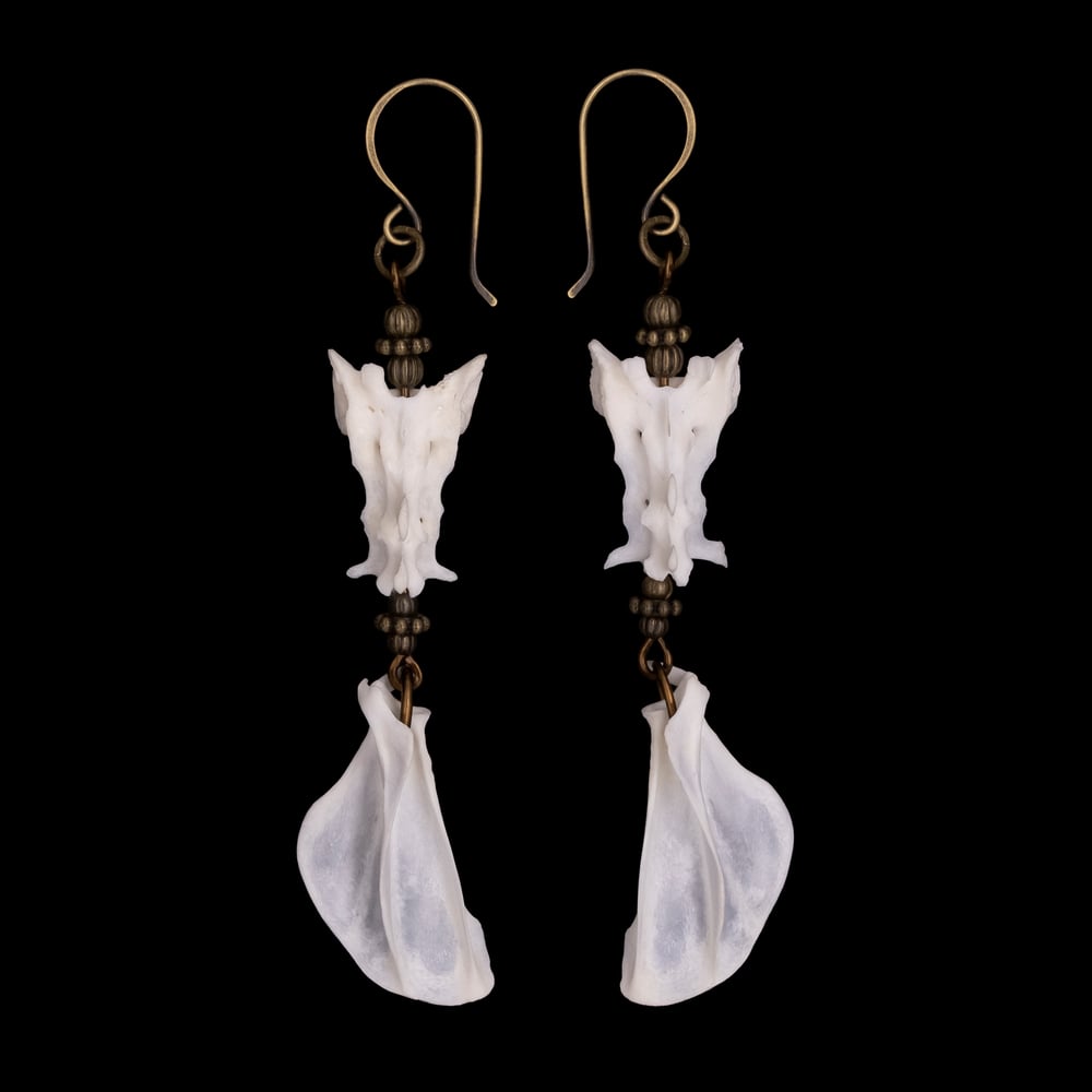 Image of "Vonne" Scapulae and Tailbone Earrings