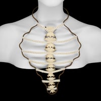 Image 1 of Snake Ribcage Necklace