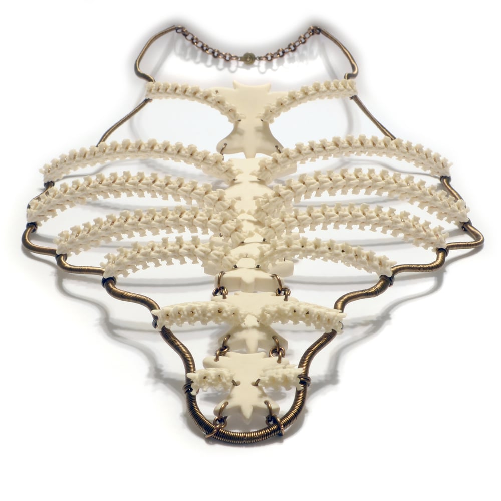 Image of Snake Ribcage Necklace