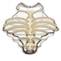 Image 5 of Snake Ribcage Necklace