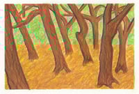 Image 1 of Dansende bomen - Bergen (2023)