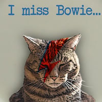 Image 2 of I miss Bowie... (Ref. 478)
