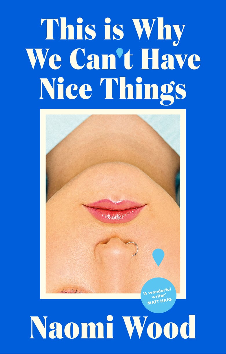 Image of This Is Why We Can't Have Nice Things - the new book from Naomi Wood