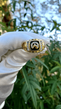 Image 1 of Horse Shoe Ring