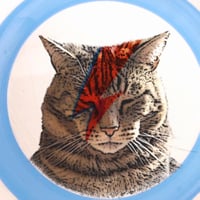 Image 2 of Bowie Cat (Ref. 631)