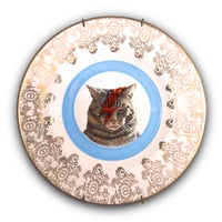 Image 1 of Bowie Cat (Ref. 631)