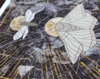 Image 2 of Night Dweller