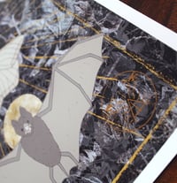 Image 3 of Night Dweller