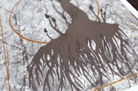 Image 2 of Pendulous Blight