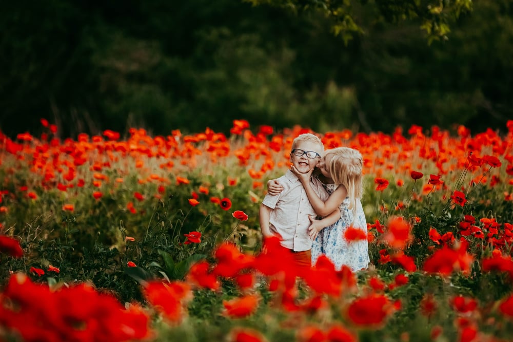 Image of Poppy Field Colletion 1