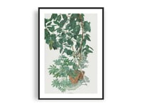 Image 1 of Sam Szafran - Untitled, Plants, Giclee Print, Monstera Palm Poster