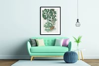 Image 2 of Sam Szafran - Untitled, Plants, Giclee Print, Monstera Palm Poster