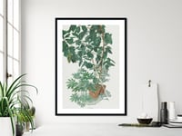 Image 3 of Sam Szafran - Untitled, Plants, Giclee Print, Monstera Palm Poster