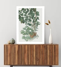 Image 5 of Sam Szafran - Untitled, Plants, Giclee Print, Monstera Palm Poster