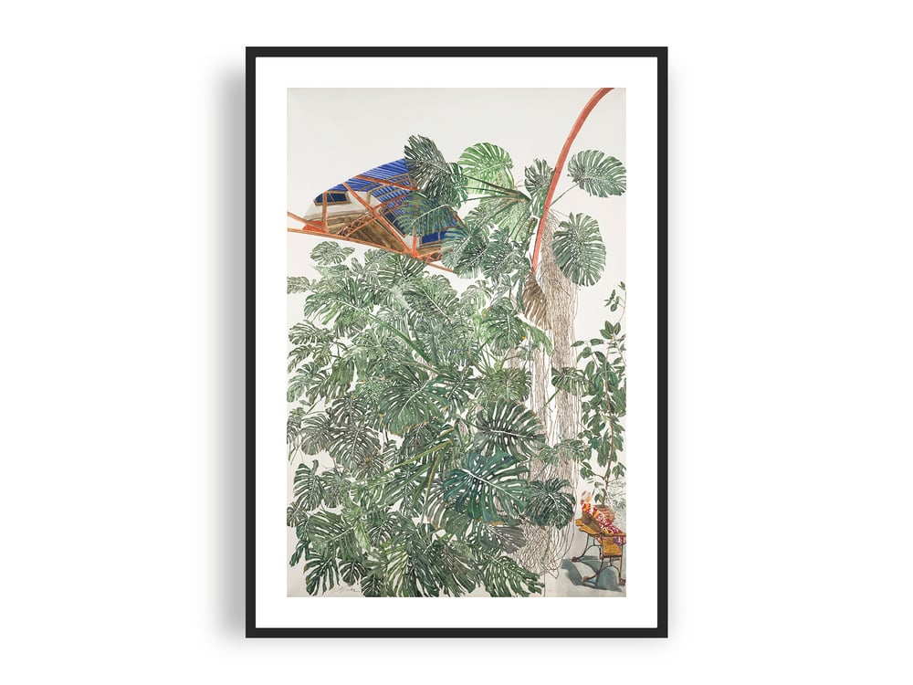 Image of Sam Szafran - Untitled, Plants with Skylight, Giclee Print, Monstera Palm Poster
