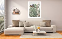 Image 2 of Sam Szafran - Untitled, Plants with Skylight, Giclee Print, Monstera Palm Poster