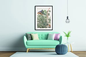 Image of Sam Szafran - Untitled, Plants with Skylight, Giclee Print, Monstera Palm Poster