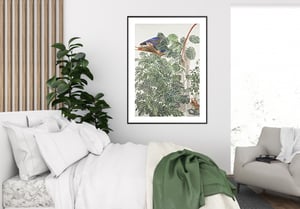 Image of Sam Szafran - Untitled, Plants with Skylight, Giclee Print, Monstera Palm Poster