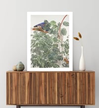 Image 5 of Sam Szafran - Untitled, Plants with Skylight, Giclee Print, Monstera Palm Poster