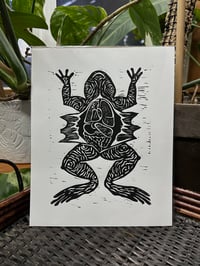 Dissected frog print