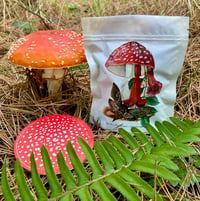 Image 1 of Amanita Muscaria -Dried Tea Package (1oz)
