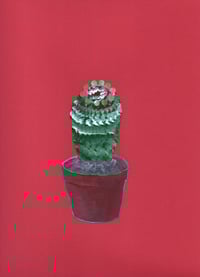 Image 3 of Cactus, Original Artwork – Hand-Painted, One-of-a-Kind (220 x 305mm)