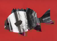 Image 5 of Striped Beakfish, Original Collage Art – Hand-Painted, One-of-a-Kind (220 x 305mm)
