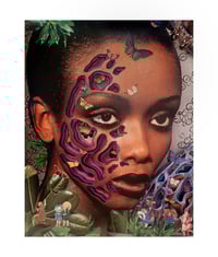 Image of Gaze