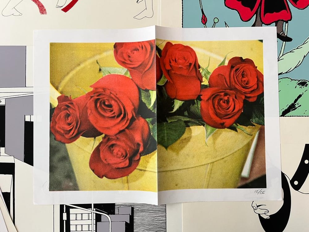 Yo me puedo comprar las rosas x Ana Blumenkron