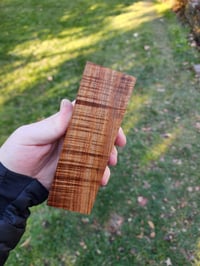 Image 1 of Tasmanian Blackwood 9