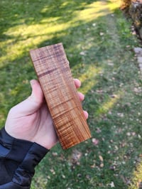 Image 2 of Tasmanian Blackwood 9