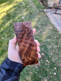 Image 1 of Tasmanian Blackwood 10