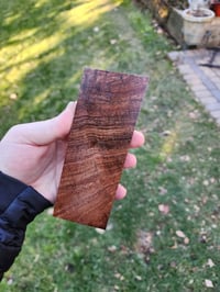 Image 2 of Tasmanian Blackwood 10
