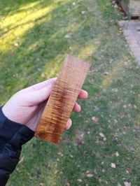 Image 2 of Tasmanian Blackwood 11