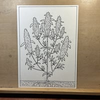 Cannabis: The Illegalization of Weed in America Original Art: Weed Plant