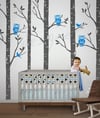 Wild Birch Woods Forest with Owls - 101in tall 5 trees - dd1045 LARGE Vinyl Wall Decal Sti