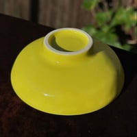 Image 2 of Yellow Petri Dish