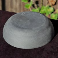 Image 2 of Black Porcelain Petri Dish